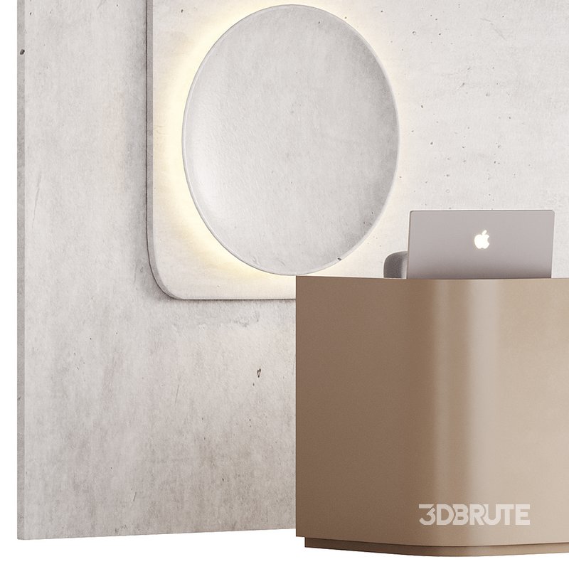 Contemporary Reception 12 Image 8