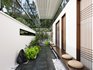 Modern courtyard landscape trees, flowers, and plants - Thumbnail 1