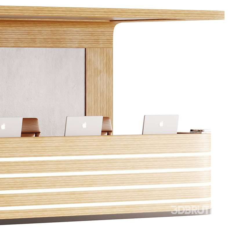 Contemporary Reception 14 Image 3