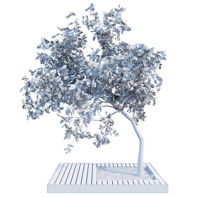 Outdoor Plant 04 Image 3