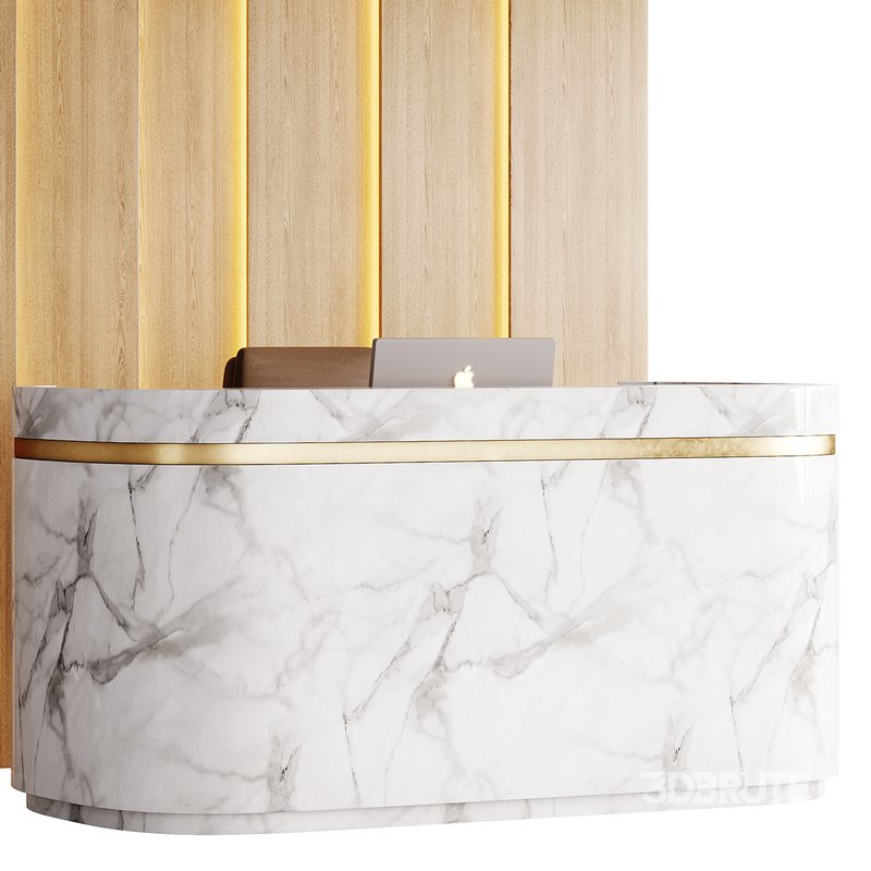 Contemporary Reception 20 Image 3