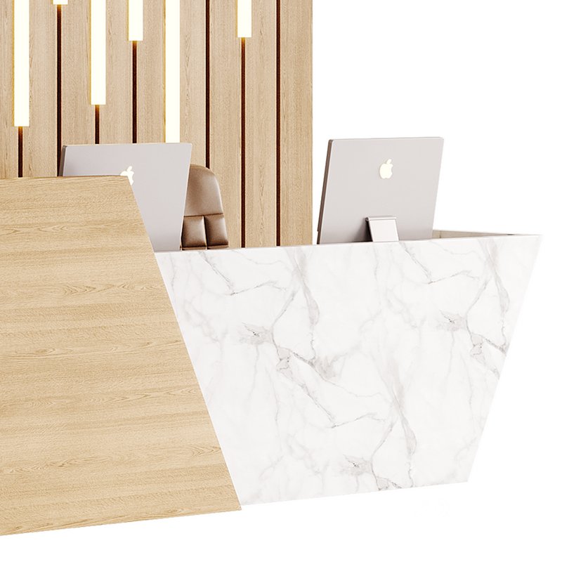 Contemporary Reception 19 Image 2