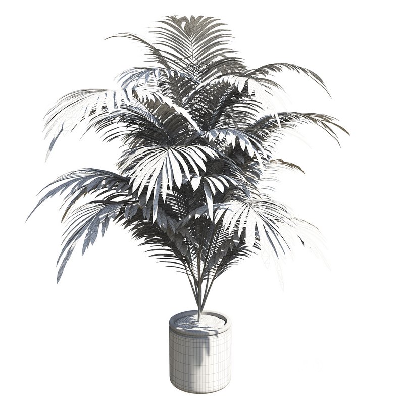 Outdoor Plant 01 Image 3