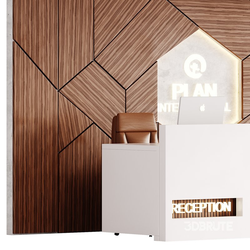 Contemporary Reception 13 Image 4