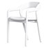 Amare Dining Armchair Sonoma Coco - Thumbnail 4
