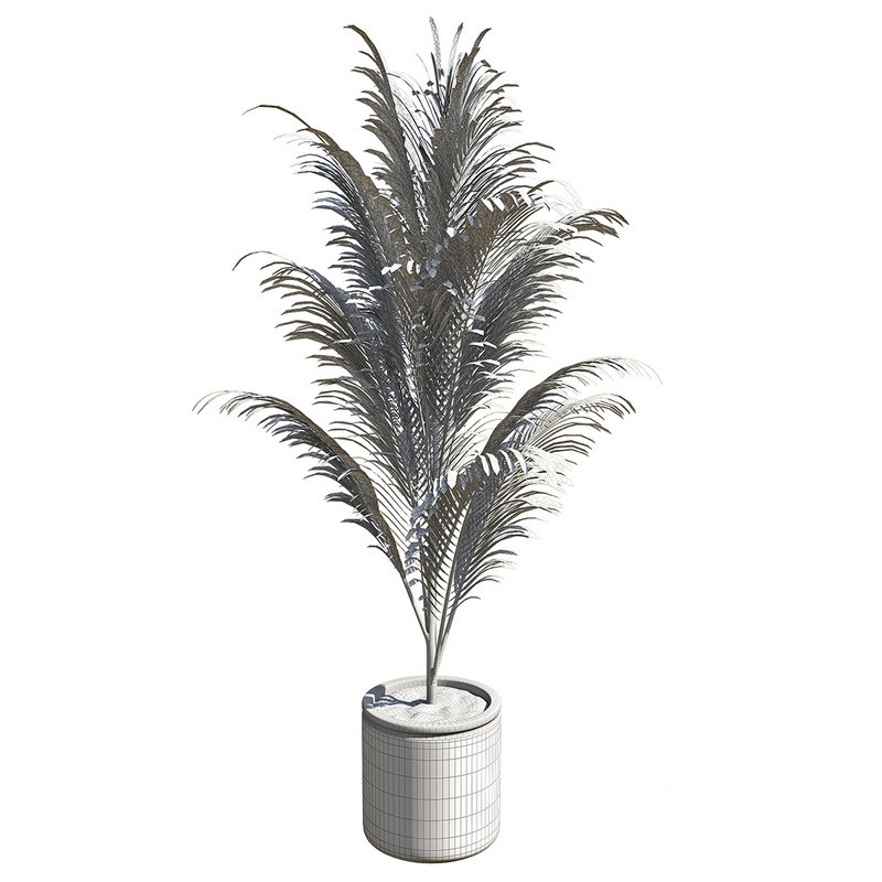 OutDoor Plant 02 Image 3