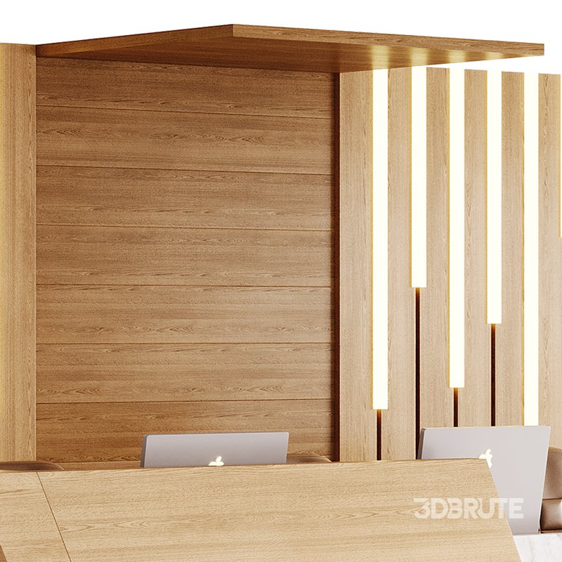 Contemporary Reception 19 Image 3