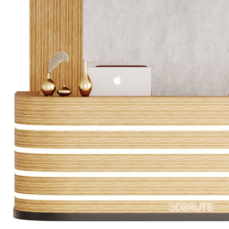 Contemporary Reception 14 Image 5