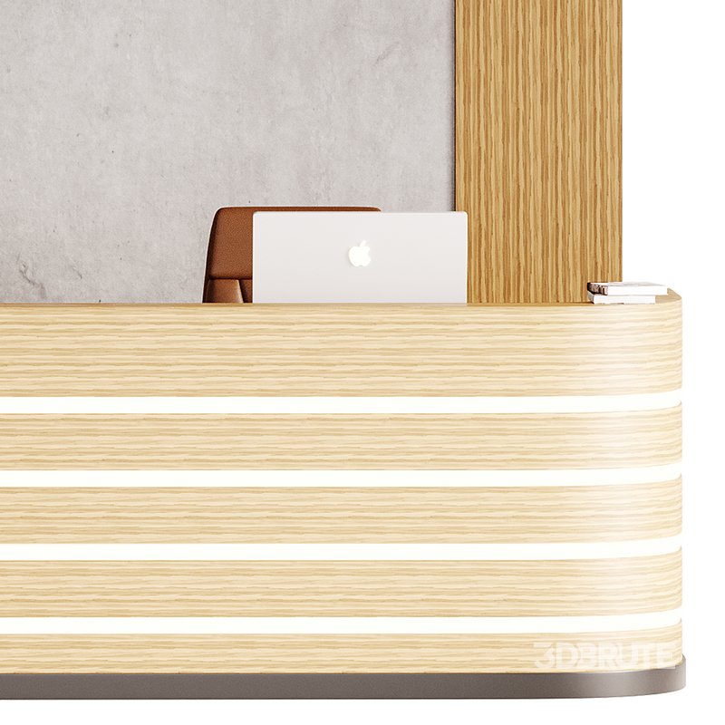 Contemporary Reception 14 Image 6