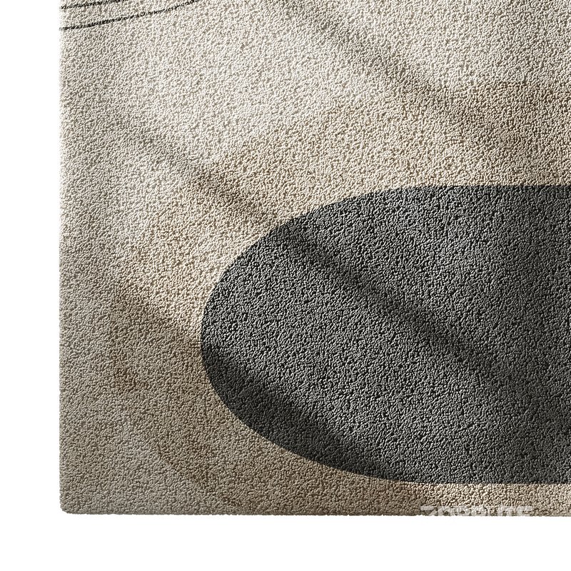 Carpet set 71 Image 5