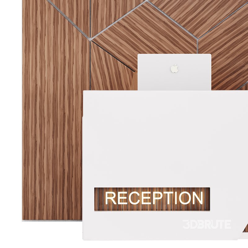 Contemporary Reception 13 Image 5