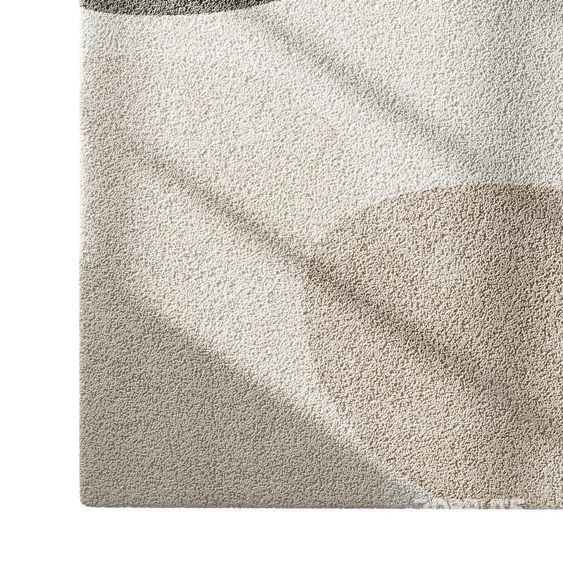 Carpet set 77 Image 7