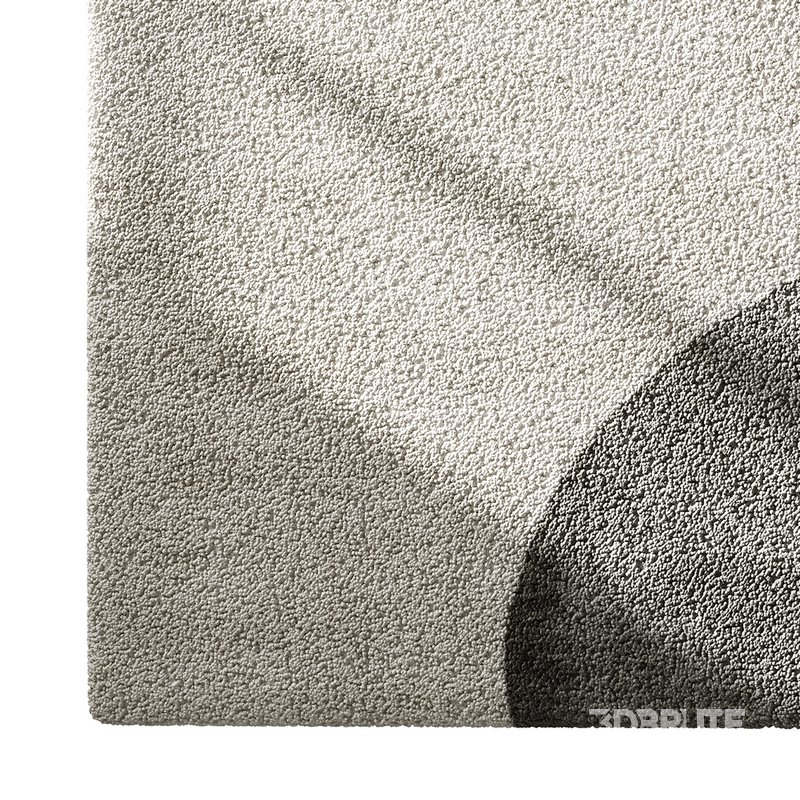 Carpet set 41 Image 6