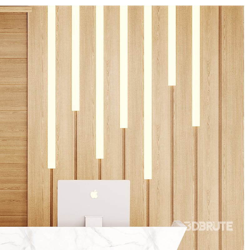 Contemporary Reception 19 Image 7