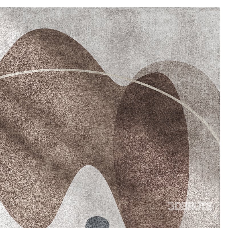 Carpet set 17 Image 7