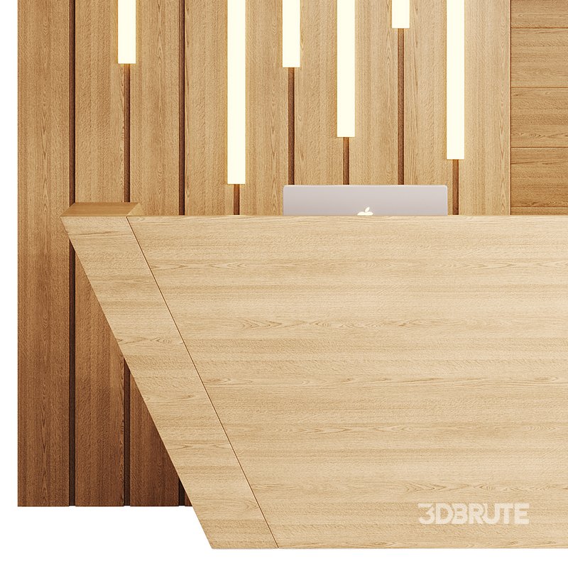 Contemporary Reception 19 Image 9