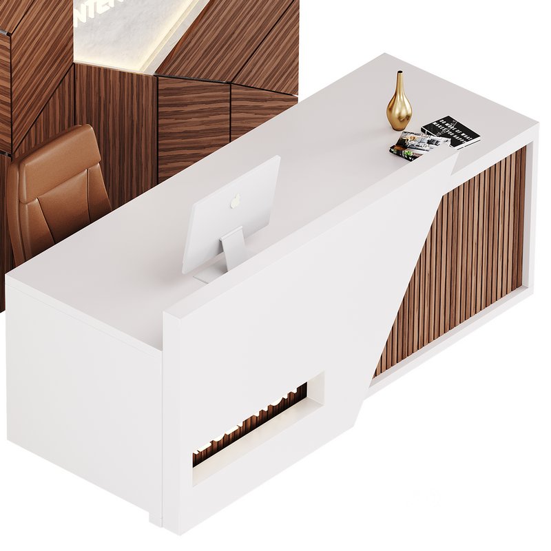 Contemporary Reception 13 Image 8