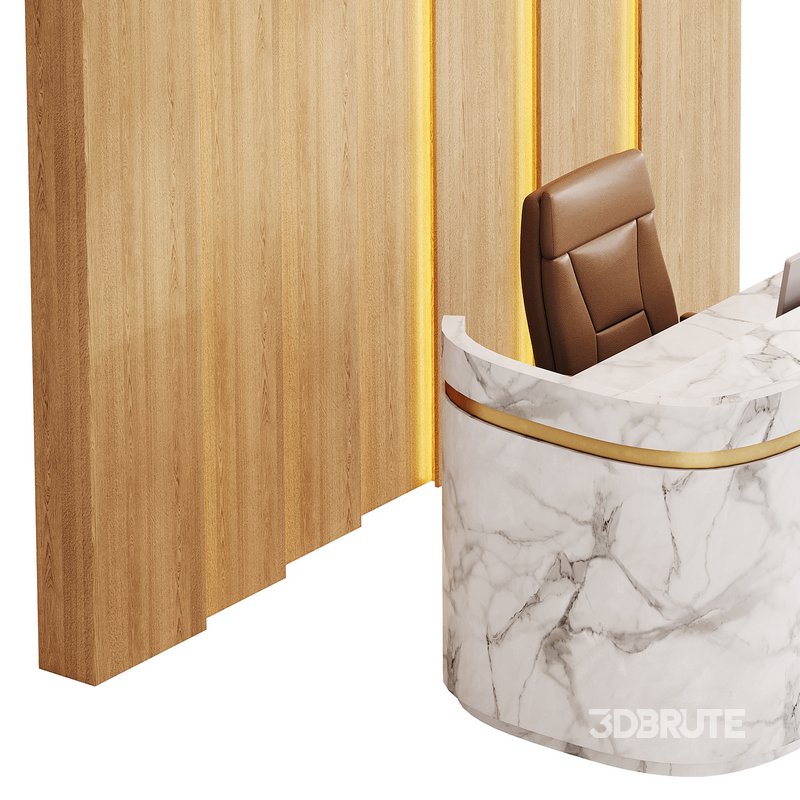 Contemporary Reception 20 Image 7