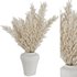 Pampas vase set49 - Thumbnail 1