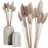 Bouquet vase Set48 – pampas - Thumbnail 1