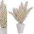 Pampas vase set49 - Thumbnail 3