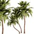 Palm Tree Set21 - Thumbnail 1