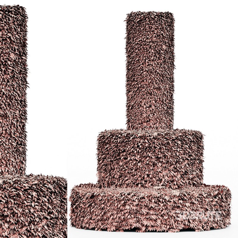 2 Dwarf Yaupon Holly Cylinder tree Image 2