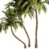 Palm Tree Set21 - Thumbnail 4
