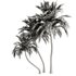 Palm Tree Set21 - Thumbnail 5