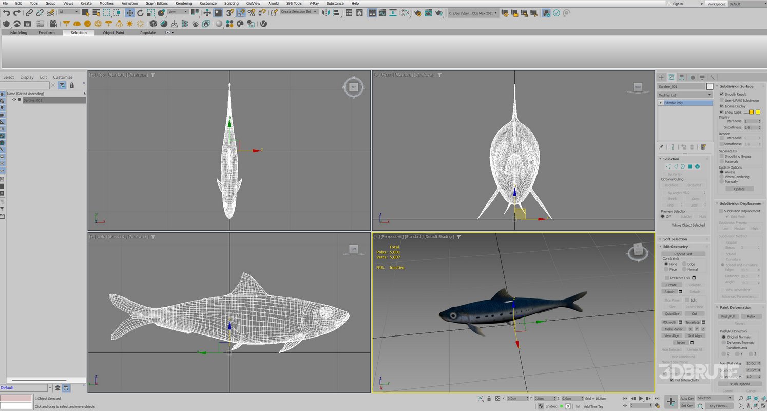 Sardine Fish Image 3