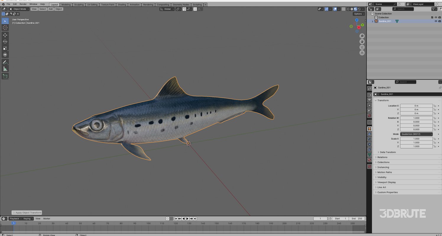 Sardine Fish Image 5