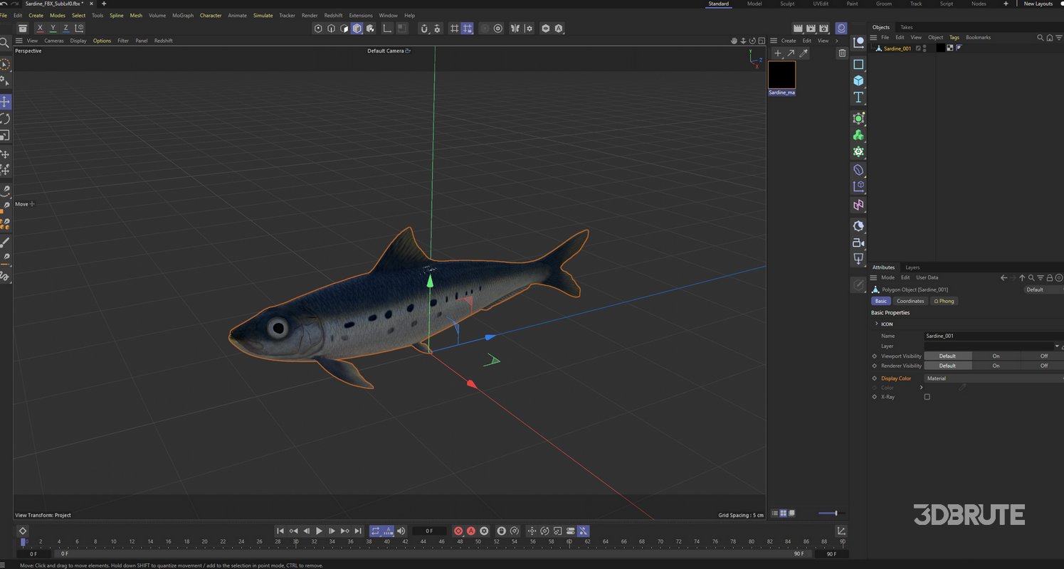 Sardine Fish Image 4