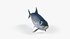Sardine Fish - Thumbnail 11