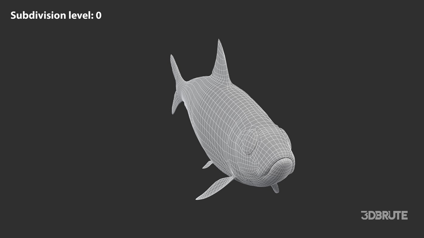 Sardine Fish Image 12