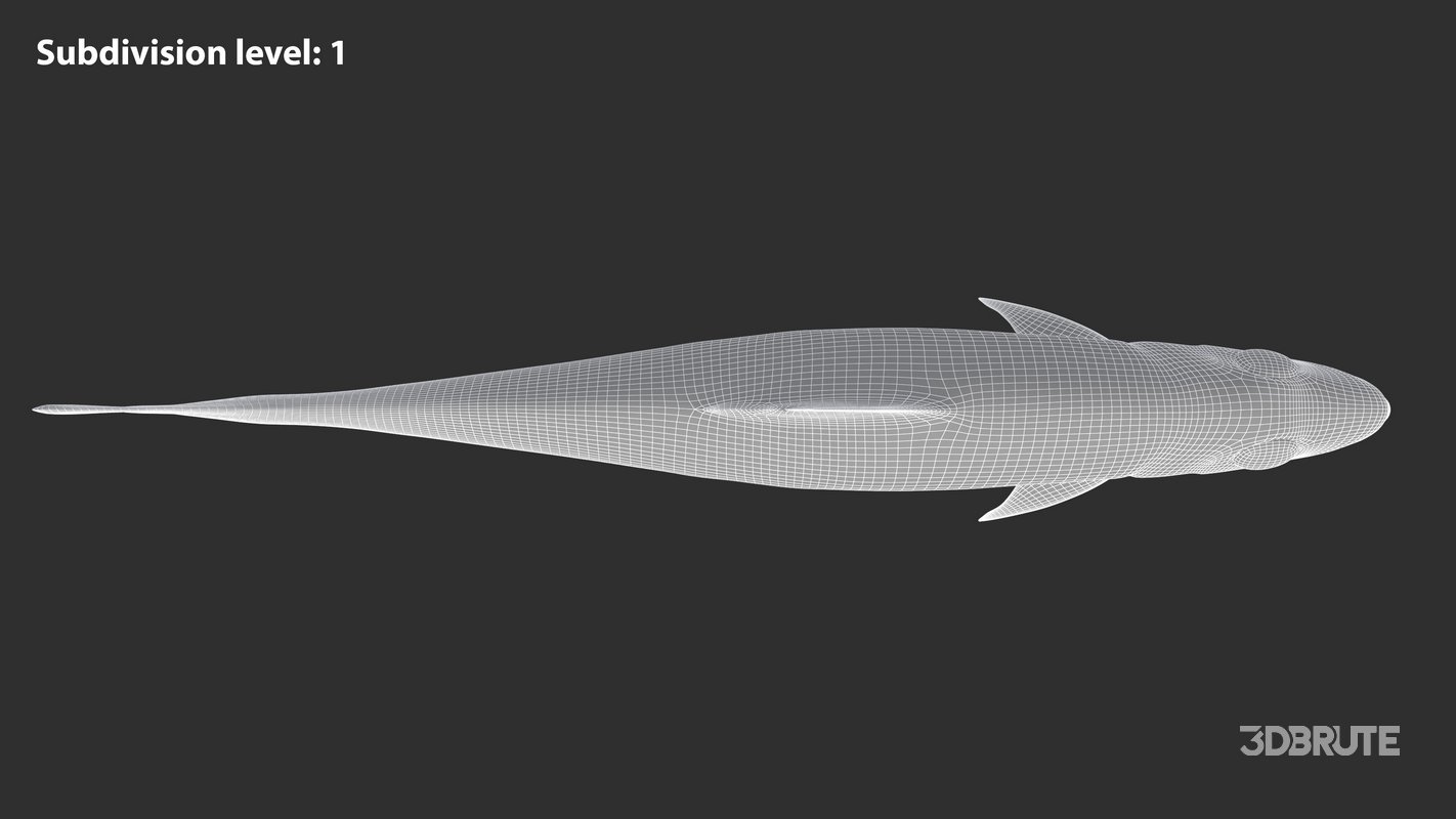 Sardine Fish Image 16