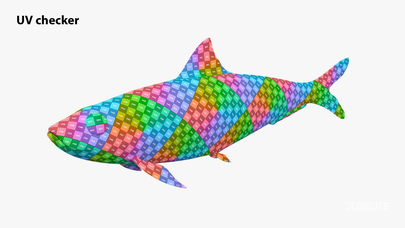 Sardine Fish Image 21