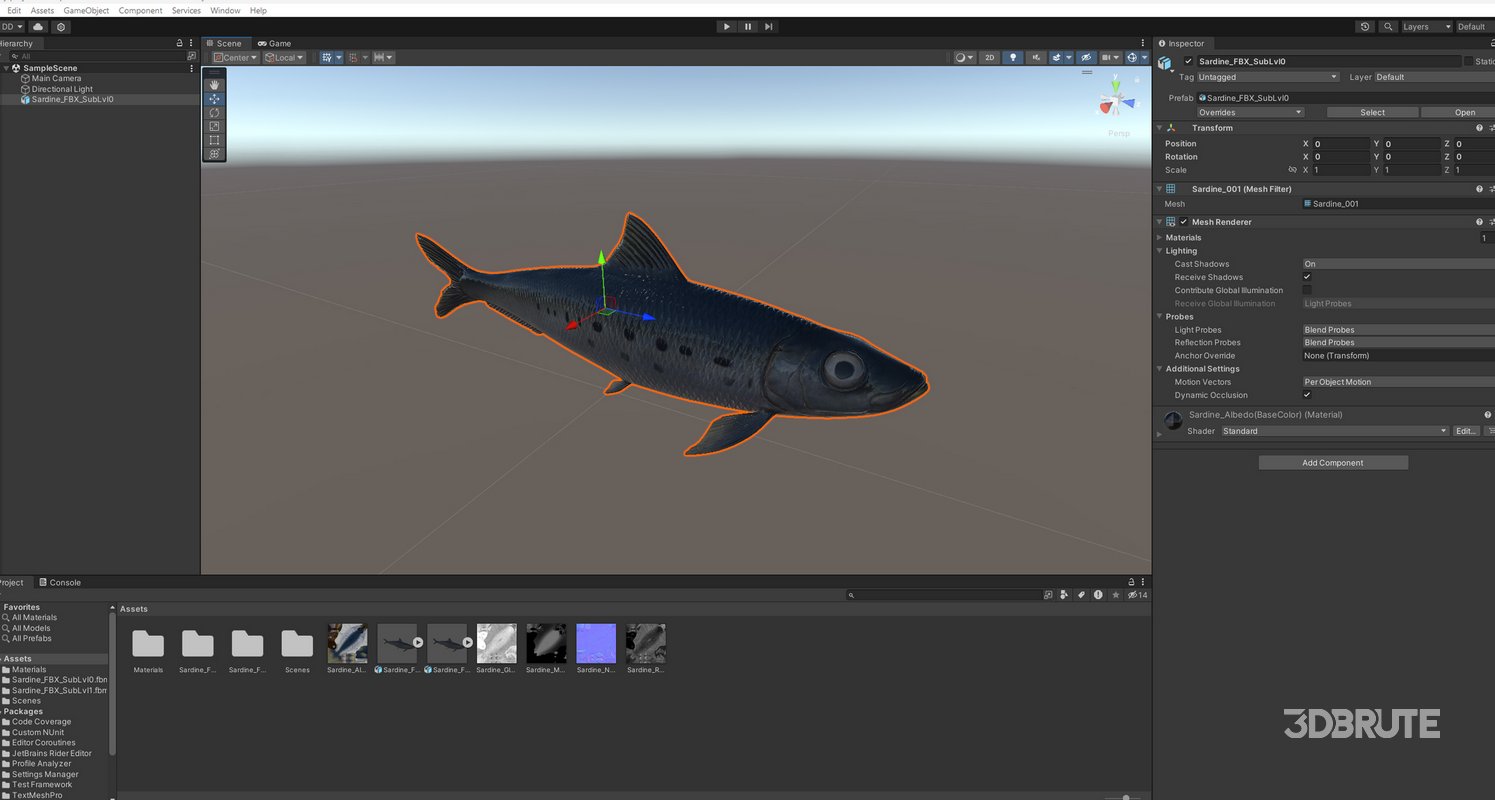 Sardine Fish Image 24