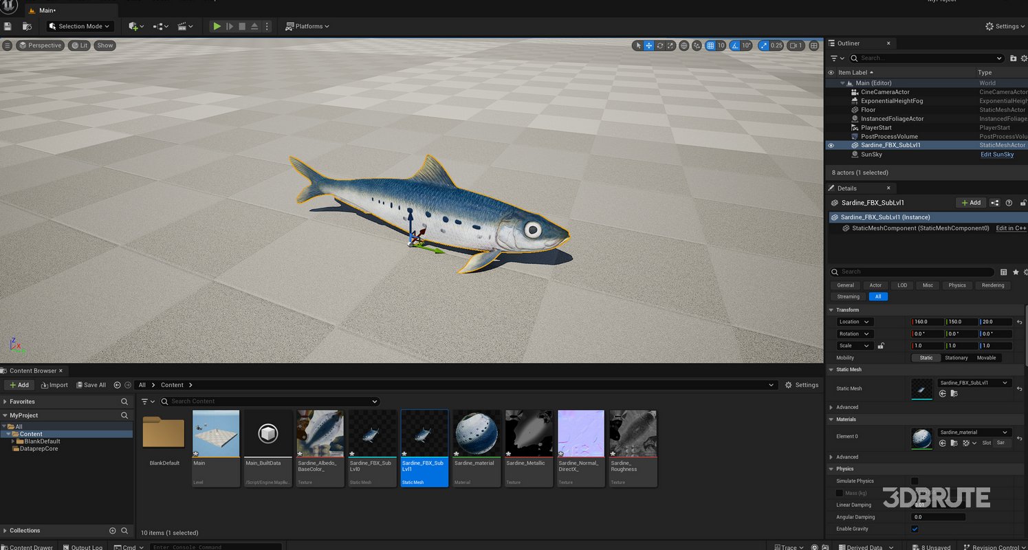 Sardine Fish Image 25