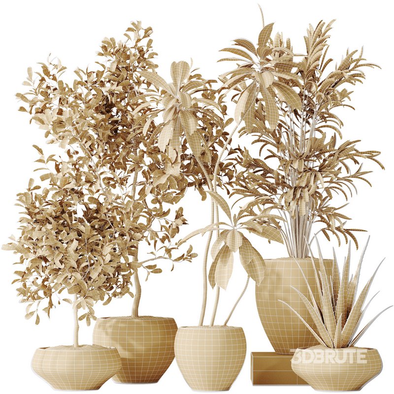 Indoor plants set 112 Aquatica Grand Artificiel and Lutescens Areca Palm Image 7