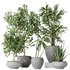 Indoor plants set 112 Aquatica Grand Artificiel and Lutescens Areca Palm - Thumbnail 1
