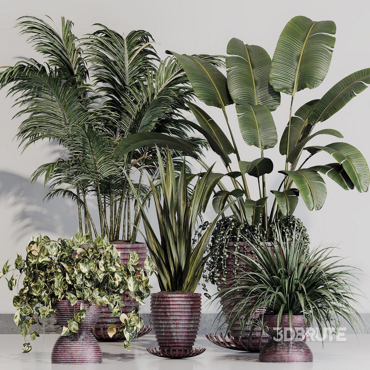 INDOOR PLANT SET 08 Image 1