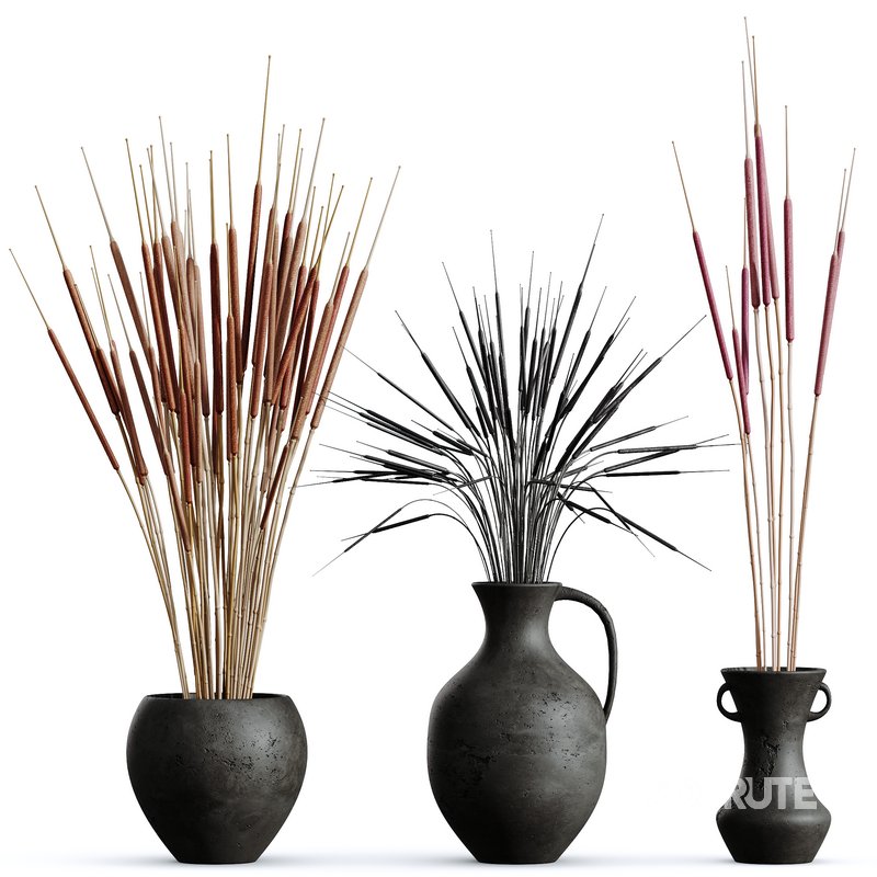 HQ HousePlants Decorative Stoilan Pampas Dried Branches Pampy Image 1