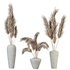 HQ HousePlants Decorative Miscanthus Pampas Dried Branches Pampy - Thumbnail 1