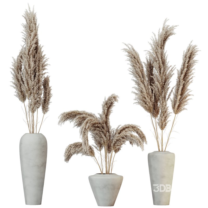 HQ HousePlants Decorative Miscanthus Pampas Dried Branches Pampy Image 1