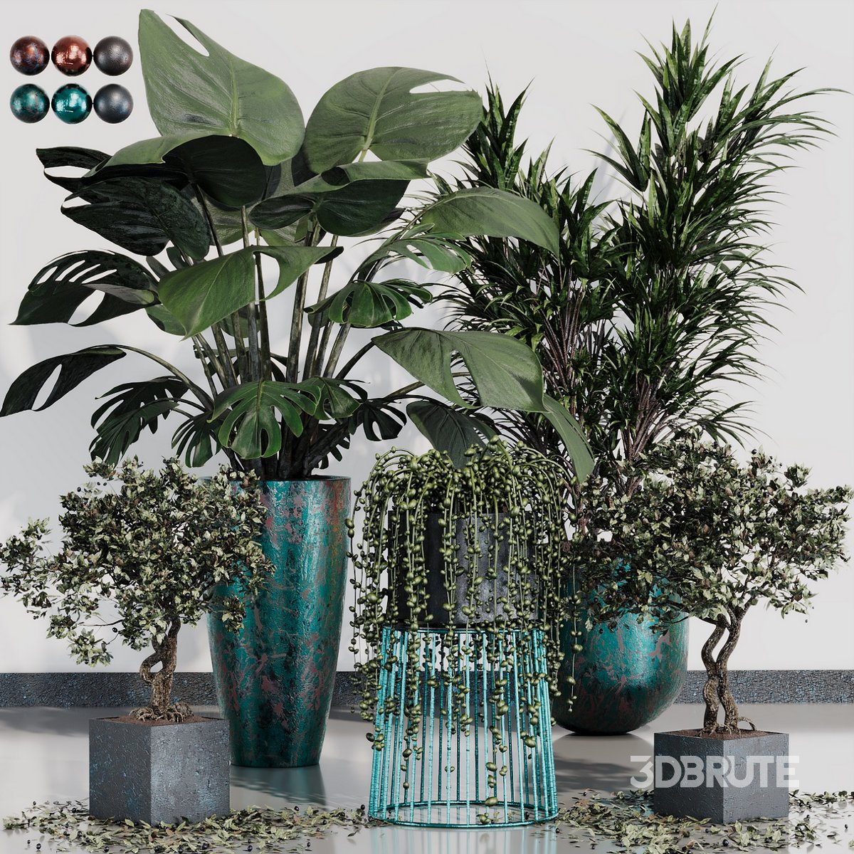 INDOOR PLANT SET 07 Image 1