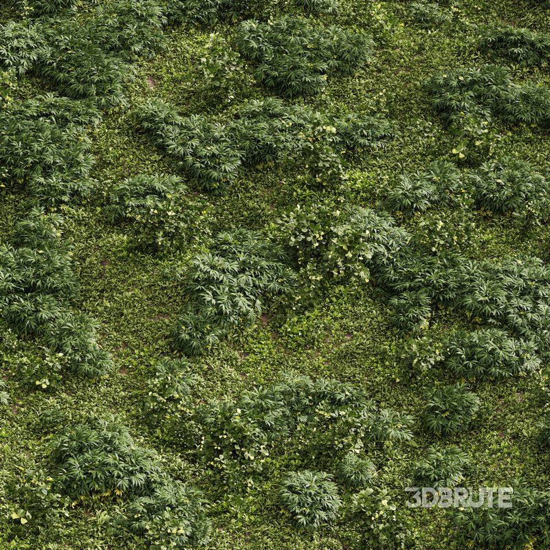 Meadow Lawn Grassland Set 004 Image 1