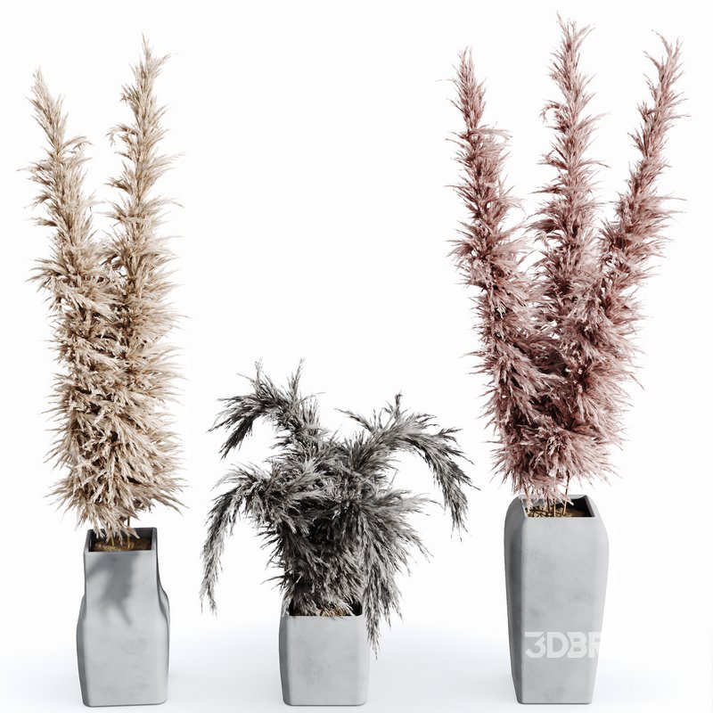 HQ HousePlants Decorative Stoilan Pampas Dried Branches Pampy04 Image 1