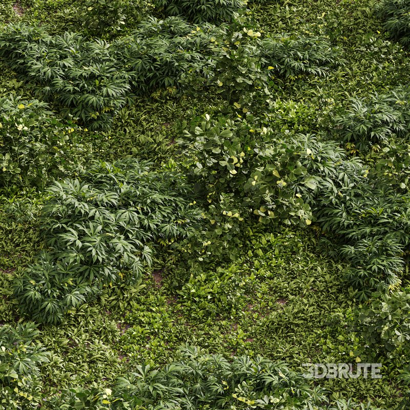 Meadow Lawn Grassland Set 004 Image 2