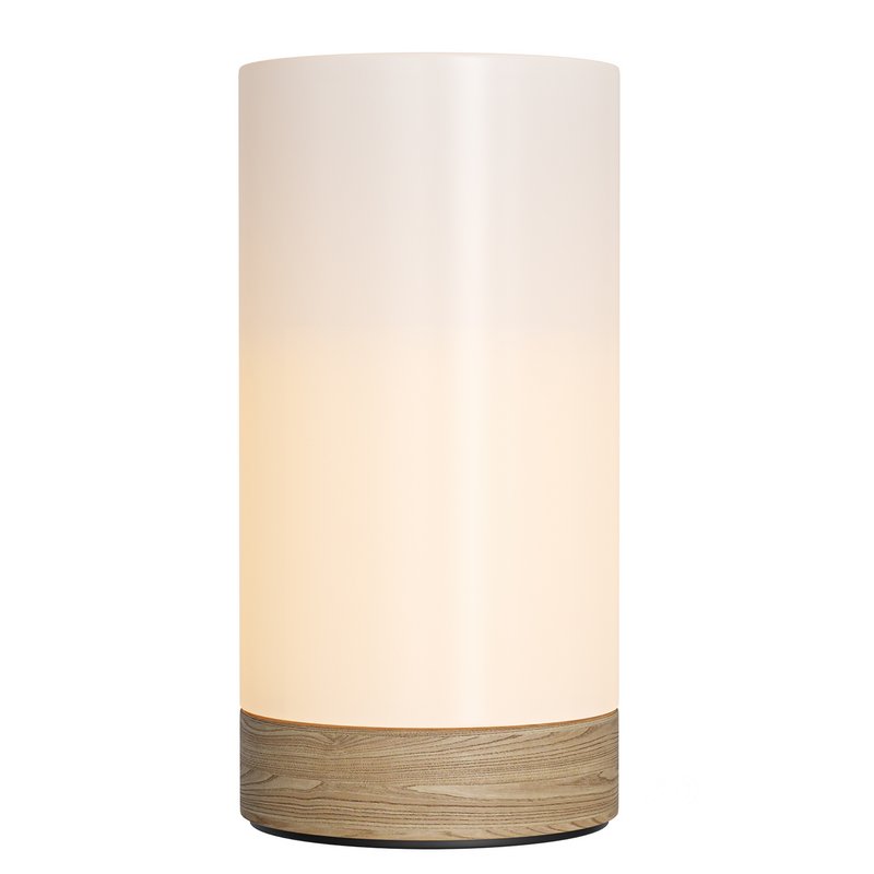 Bedroom Desk Lamp Rechargeable Remote Control Touch Wireless Small Night Lamp Image 2