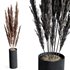 HQ HousePlants Decorative Miscanthus Pampas Dried Branches Pampy02 - Thumbnail 1